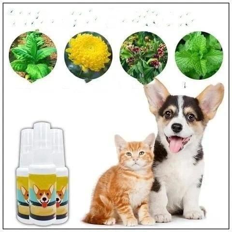 Natural Potty Training Spary for Dog & Cat (BUY 1 GET 1) 30ml each