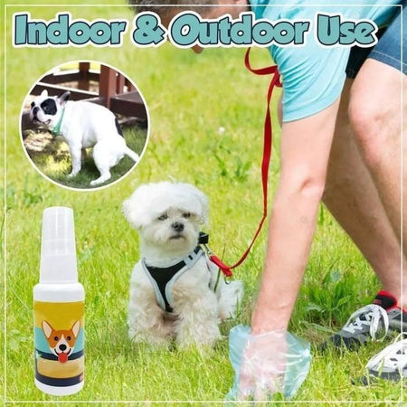 Natural Potty Training Spary for Dog & Cat (BUY 1 GET 1) 30ml each