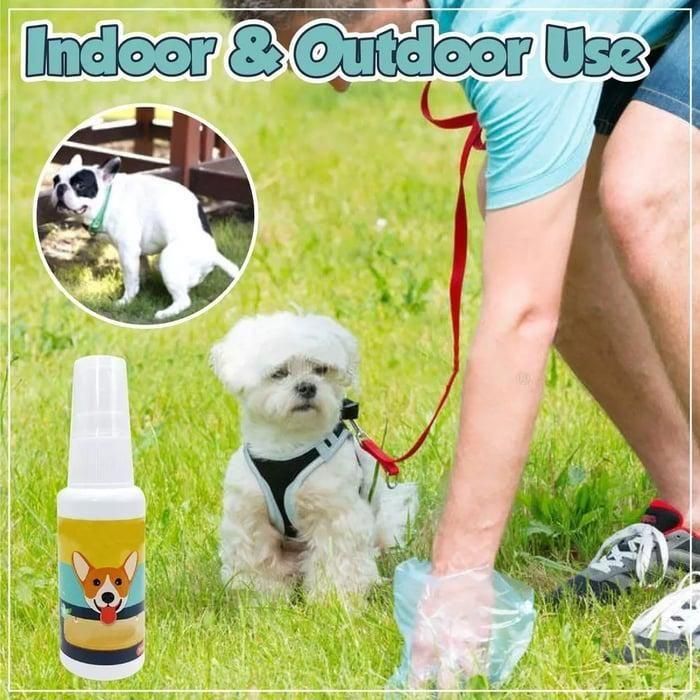 Natural Potty Training Spary for Dog & Cat (BUY 1 GET 1) 30ml each